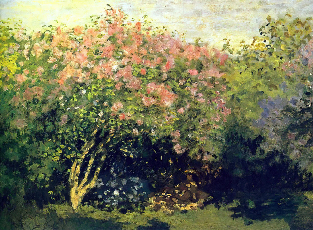 Was ist das Musée Marmottan Monet und warum ist es ein Muss für Kunstliebhaber?