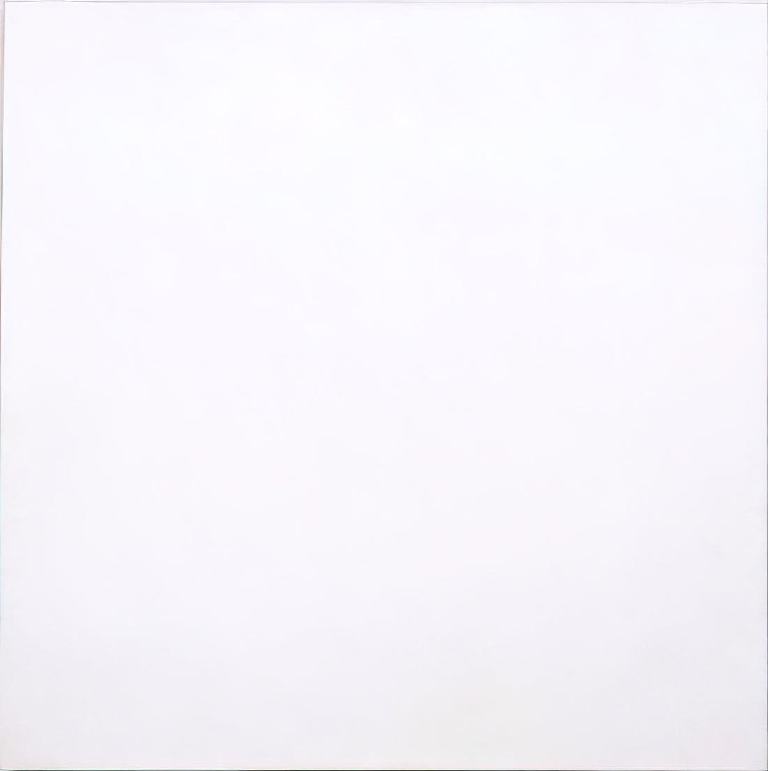 How Much Does a Robert Rauschenberg White Painting Cost in 2025?