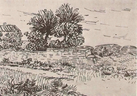 Vincent van Gogh (1853–1890): Ein Leben voller Farbe und Leidenschaft