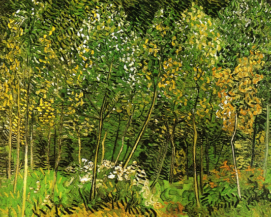 Warum sind Van Goghs Mohnblumen so besonders?