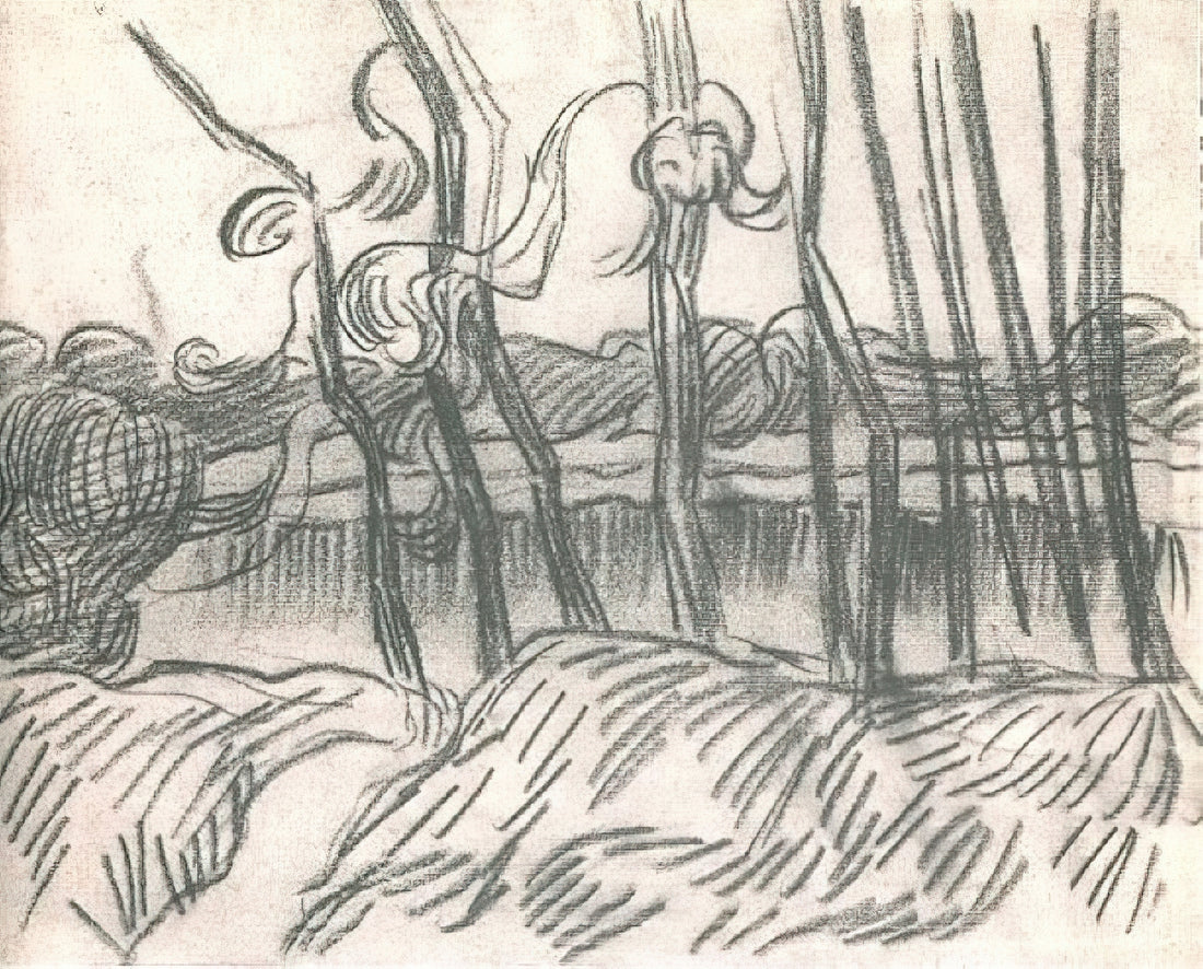 Wer war Vincent van Gogh? Ein Blick auf das Leben und Werk des berühmten Malers