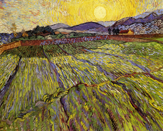 Was verraten uns die Briefe von Vincent van Gogh über sein Leben und seine Kunst?