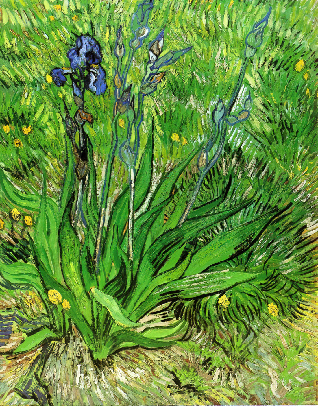 Was macht Vincent van Goghs Fischerboote so besonders?