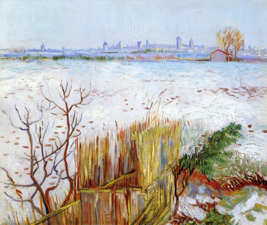 Warum sind Vincent van Goghs Mohnblumen so besonders?
