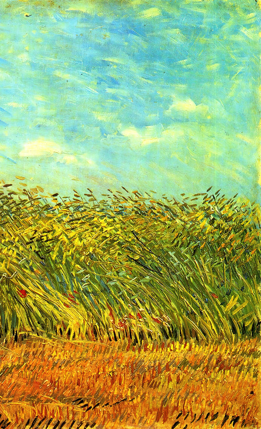 Wie kann man Vincent van Gogh im Unterricht behandeln?