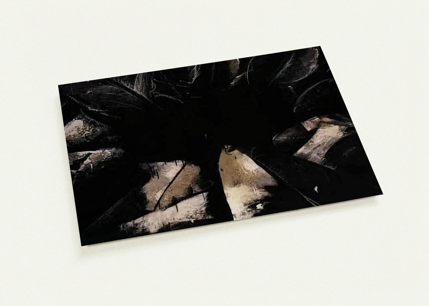 Jay DeFeo/BIG/Cabbage Rose By Jay DeFeo Pack of 10 Post Cards | Jay DeFeo Post Cards | A6 (10.5 x 14.8 cm) - 4.1 x 5.8 inches