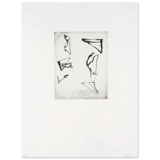 Brice Marden - Etchings to Rexroth #1 - 1986  75x100 cm / 30x40inches Fine Art Poster
