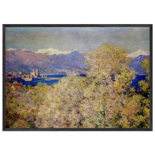 Antibes - View of the Salis Gardens - claude monet 70x100 cm / 28x40 inches Framed Art Print – Black Wooden Frame