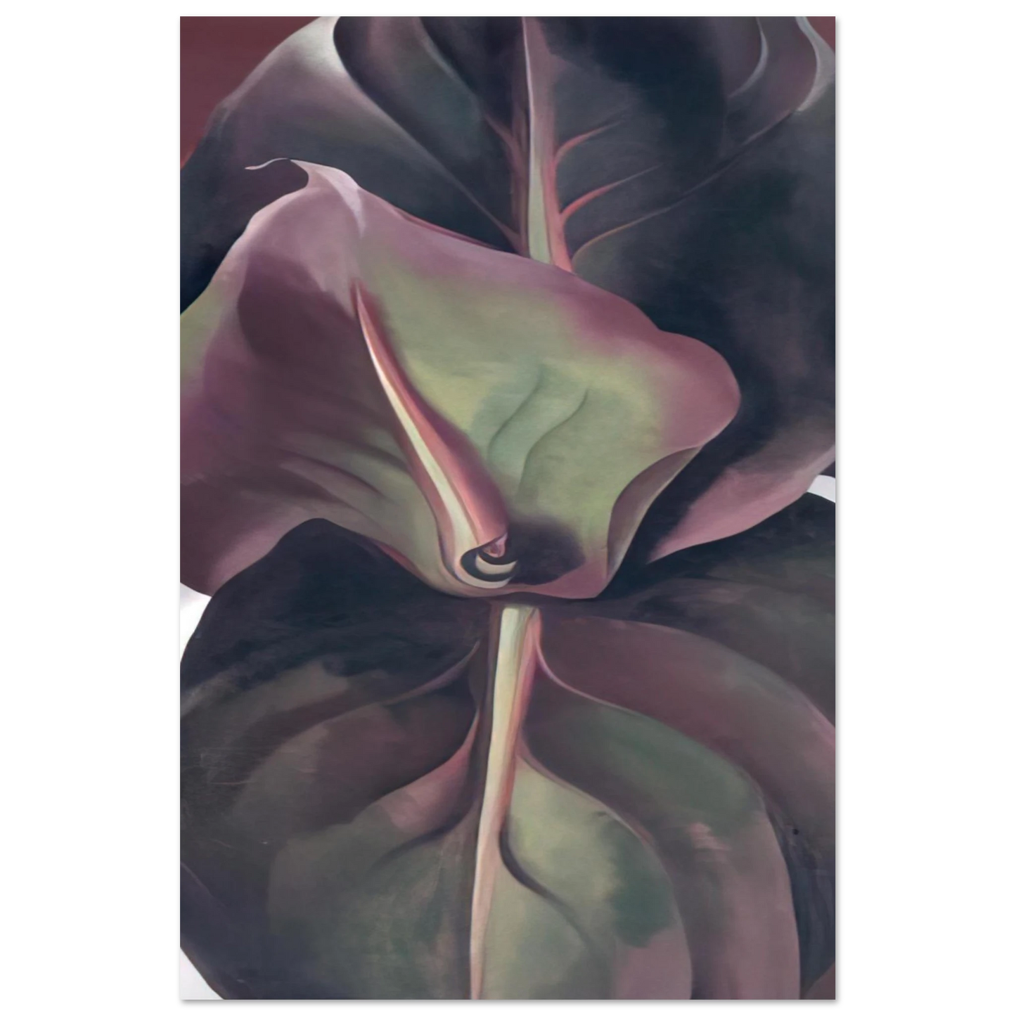 Georgia O'Keeffe - Canna Leaves Fine Art Poster