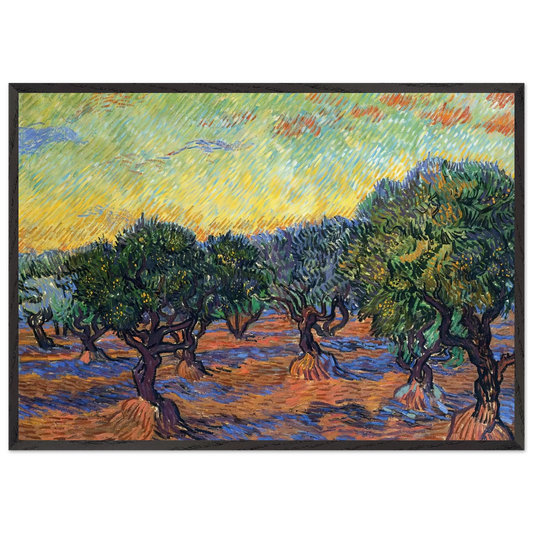 Olive Grove - Orange Sky - Vincent van Gogh 70x100 cm / 28x40 inches Framed Art Print – Black Wooden Frame