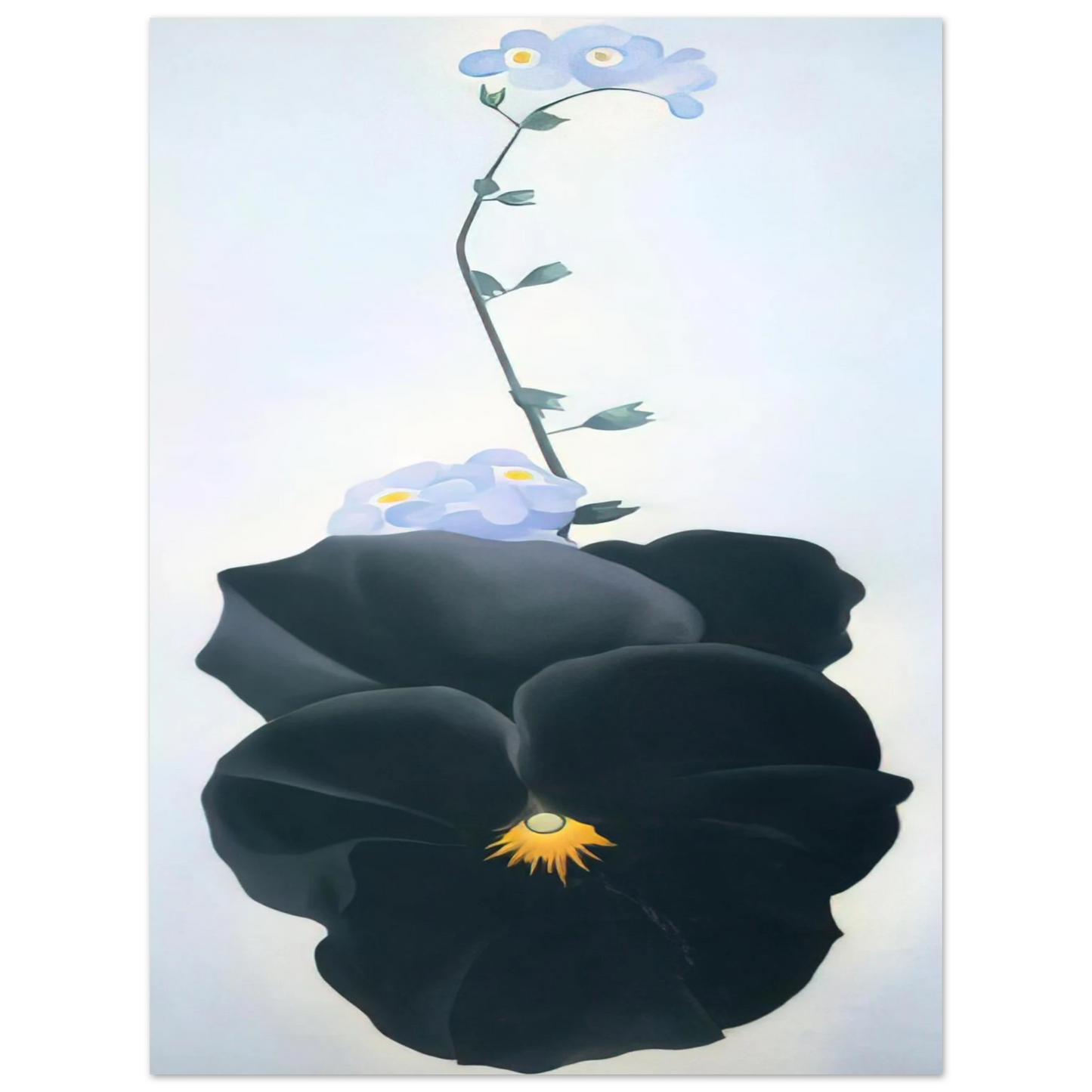Georgia O'Keeffe - Pansy Fine Art Poster