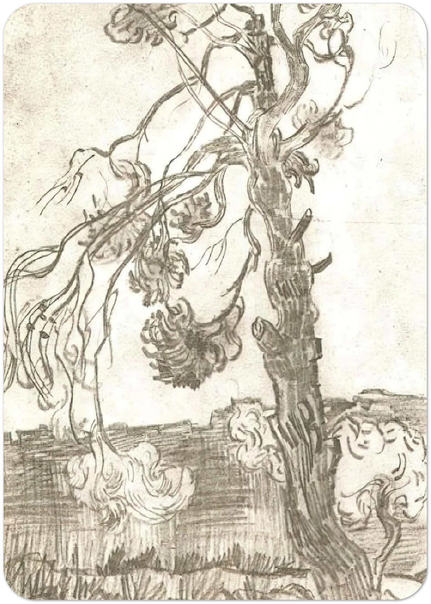 A Weather-Beaten Pine Tree By Vincent van Gogh Pack of 10 Post Cards | Vincent van Gogh Post Cards | A6 (10.5 x 14.8 cm) - 4.1 x 5.8 inches