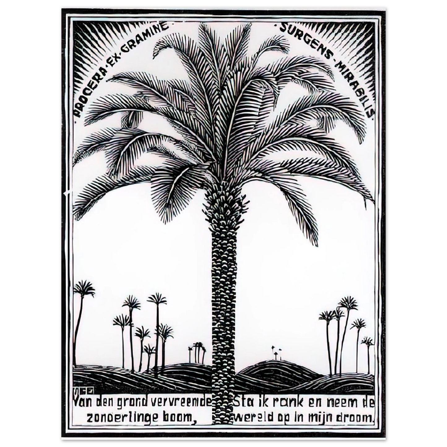 MC Escher - PALM TREE 1 Wall Art - 21x29.7 cm / 8x12" - Fine Art Poster-canvas - -