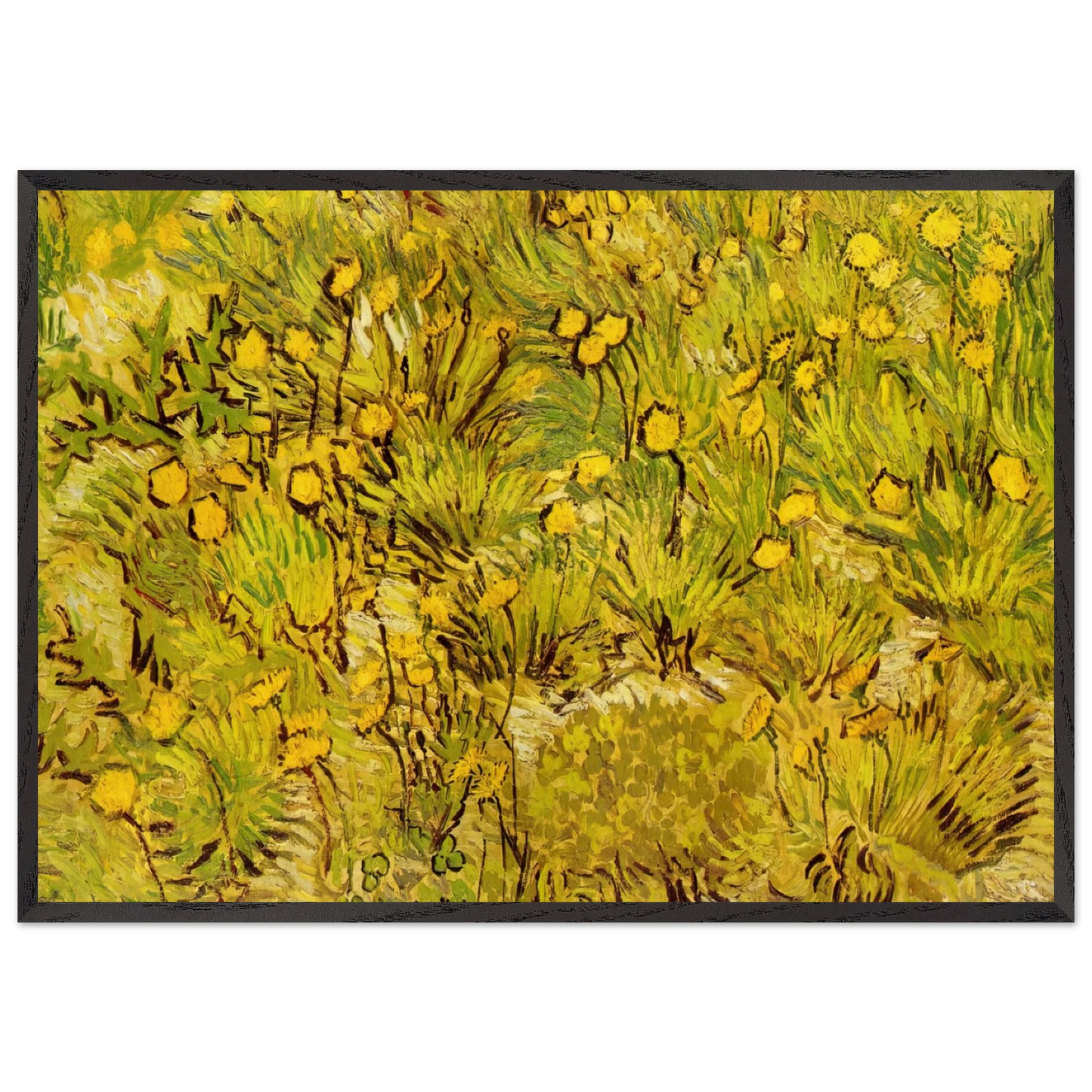A Field of Yellow Flowers - Vincent van Gogh 70x100 cm / 28x40 inches Framed Art Print – Black Wooden Frame