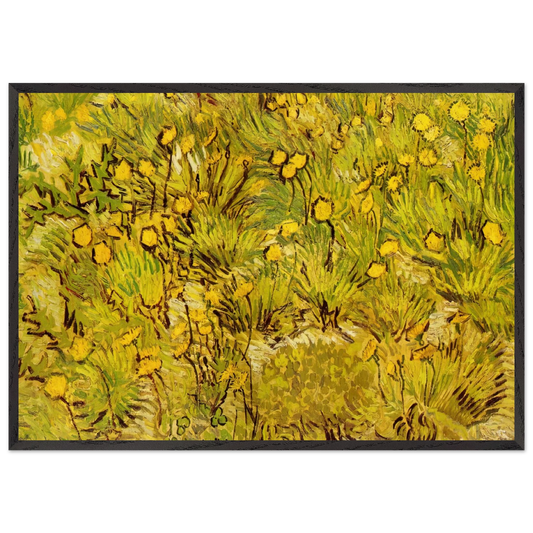 A Field of Yellow Flowers - Vincent van Gogh 70x100 cm / 28x40 inches Framed Art Print – Black Wooden Frame