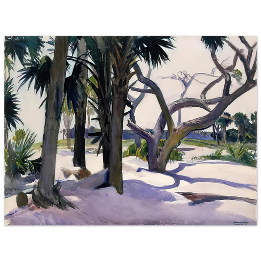 Edward Hopper - Folly Beach, Charleston, South Carolina Fine Art Poster