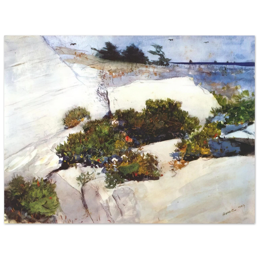 Winslow Homer - MAINE CLIFFS  75x100 cm / 30x40inches Fine Art Poster