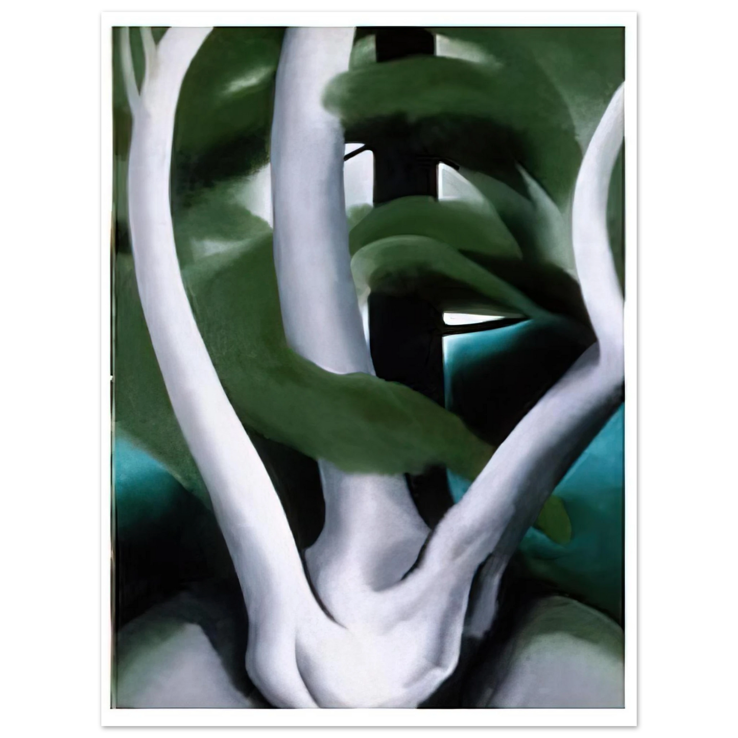 Georgia O'Keeffe - Birch and Pine Tree No. 1 Fine Art Poster