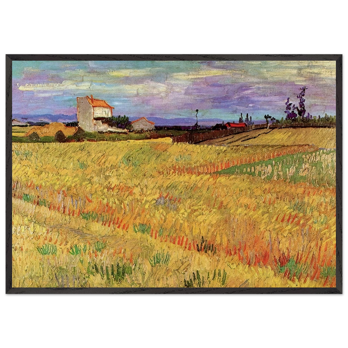 Wheat Field - Vincent van Gogh 70x100 cm / 28x40 inches Framed Art Print – Black Wooden Frame