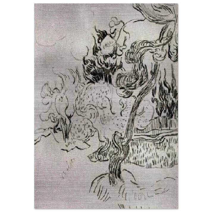 A Pine Tree and Cypresses in the Garden of the Asylum - Vincent van Gogh Brushed Aluminum Print - 70x100 cm / 28x40 inches | Vincent van Gogh Aluminum Print | Vincent van Gogh Prints