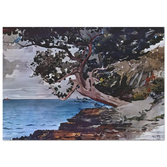 NORTH ROAD BERMUDA - Winslow Homer Brushed Aluminum Print - 70x100 cm / 28x40 inches | Winslow Homer Aluminum Print | Winslow Homer Prints