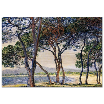 Trees by the Seashore at Antibes - claude monet Brushed Aluminum Print - 70x100 cm / 28x40 inches | claude monet Aluminum Print | claude monet Prints