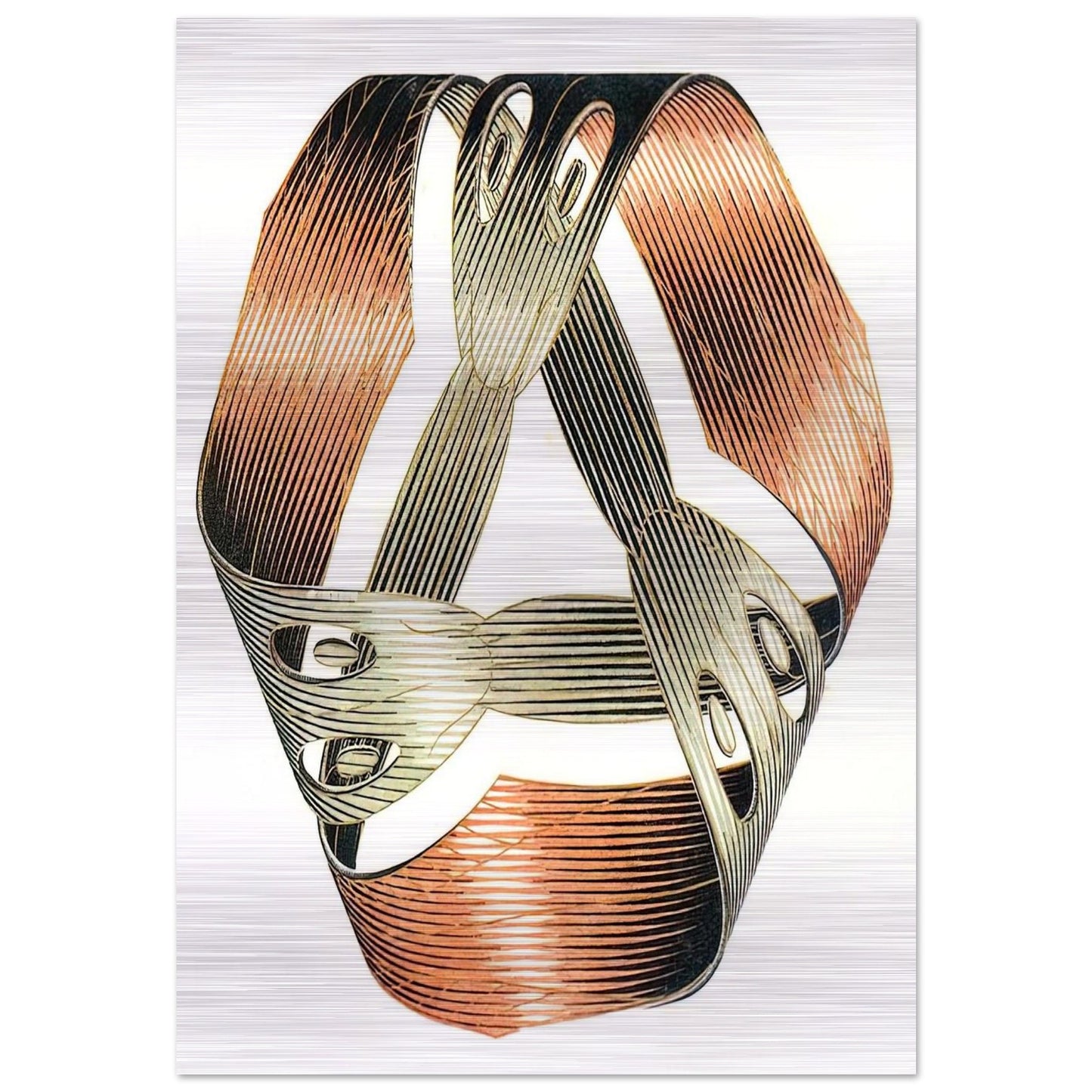 MOEBIUS STRIP I - MC Escher Brushed Aluminum Print - 70x100 cm / 28x40 inches | MC Escher Aluminum Print | MC Escher Prints