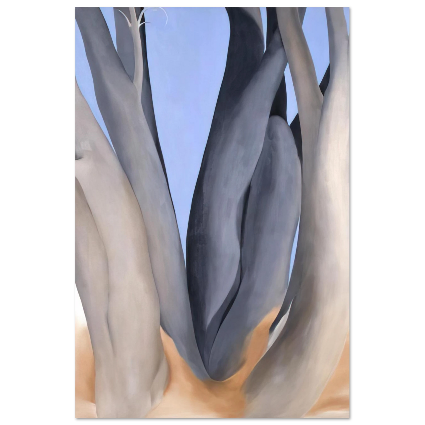 Georgia O'Keeffe - Dark Tree Trunks Fine Art Poster
