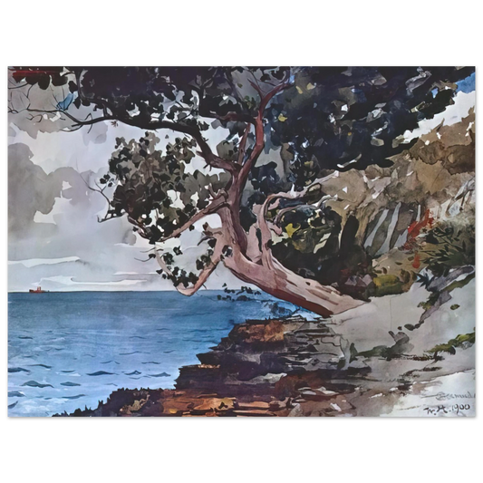 Winslow Homer - NORTH ROAD BERMUDA  75x100 cm / 30x40inches Fine Art Poster