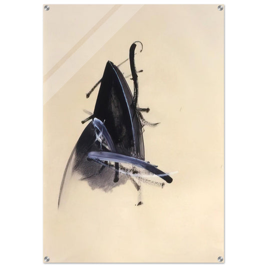 Jay DeFeo/BIG/Untitled Jewelry Series - Jay DeFeo Acrylic Print - 70x100 cm / 28x40″ inches