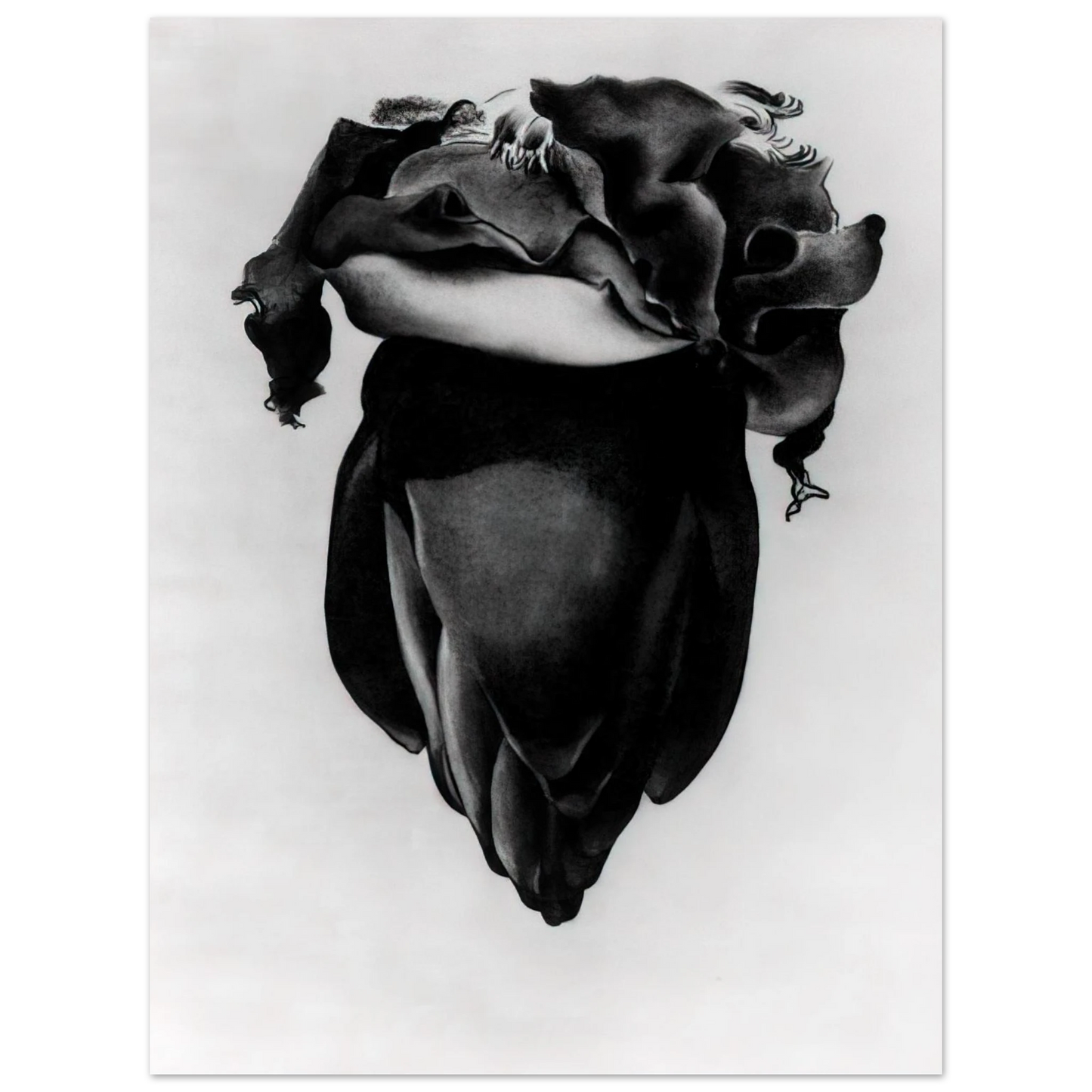 Georgia O'Keeffe - Banana Flower Fine Art Poster