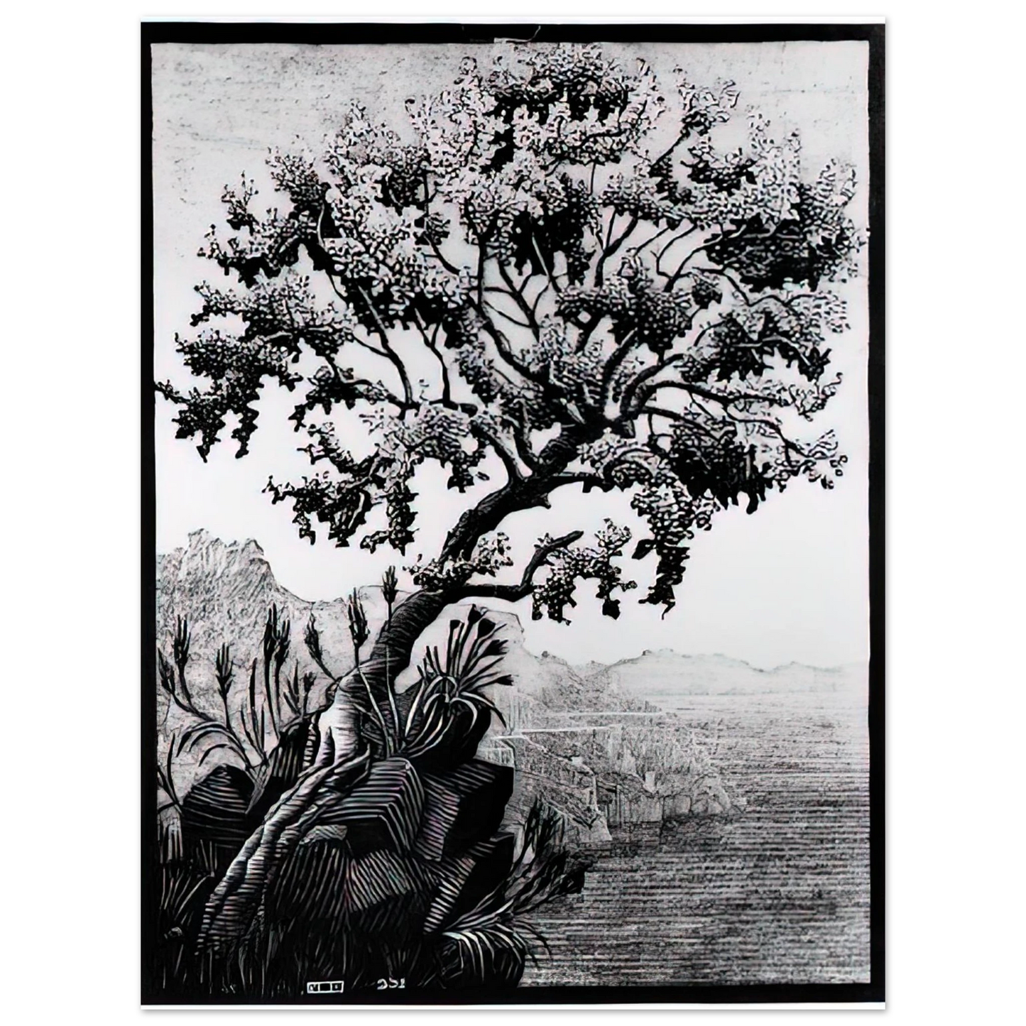MC Escher - ESCHER (14) Wall Art - 21x29.7 cm / 8x12" - Fine Art Poster-canvas - -