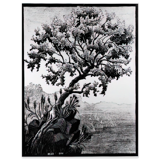 MC Escher - ESCHER (14) Wall Art - 21x29.7 cm / 8x12" - Fine Art Poster-canvas - -