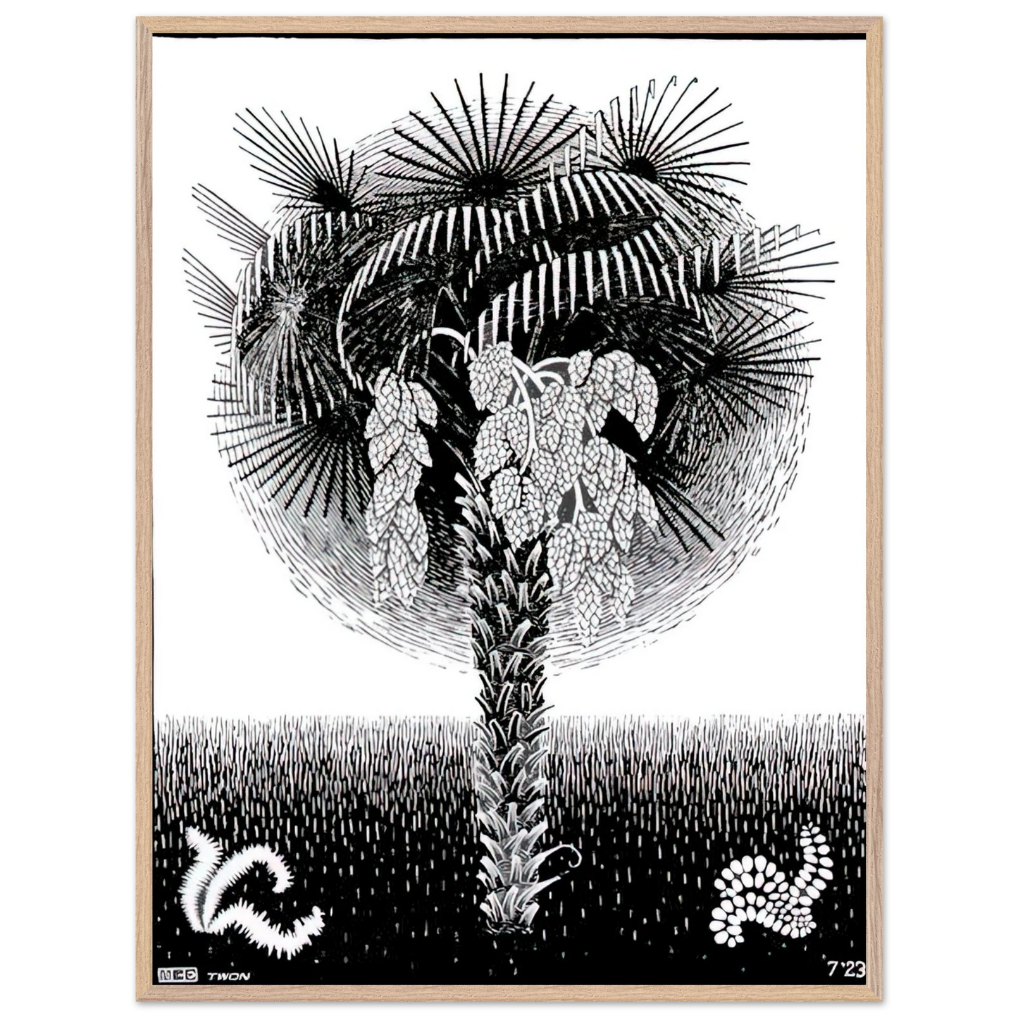 MC Escher - PALM TREE Wall Art - 21x29.7 cm / 8x12" - Premium Wooden Framed Poster With Fine Art Paper - White frame