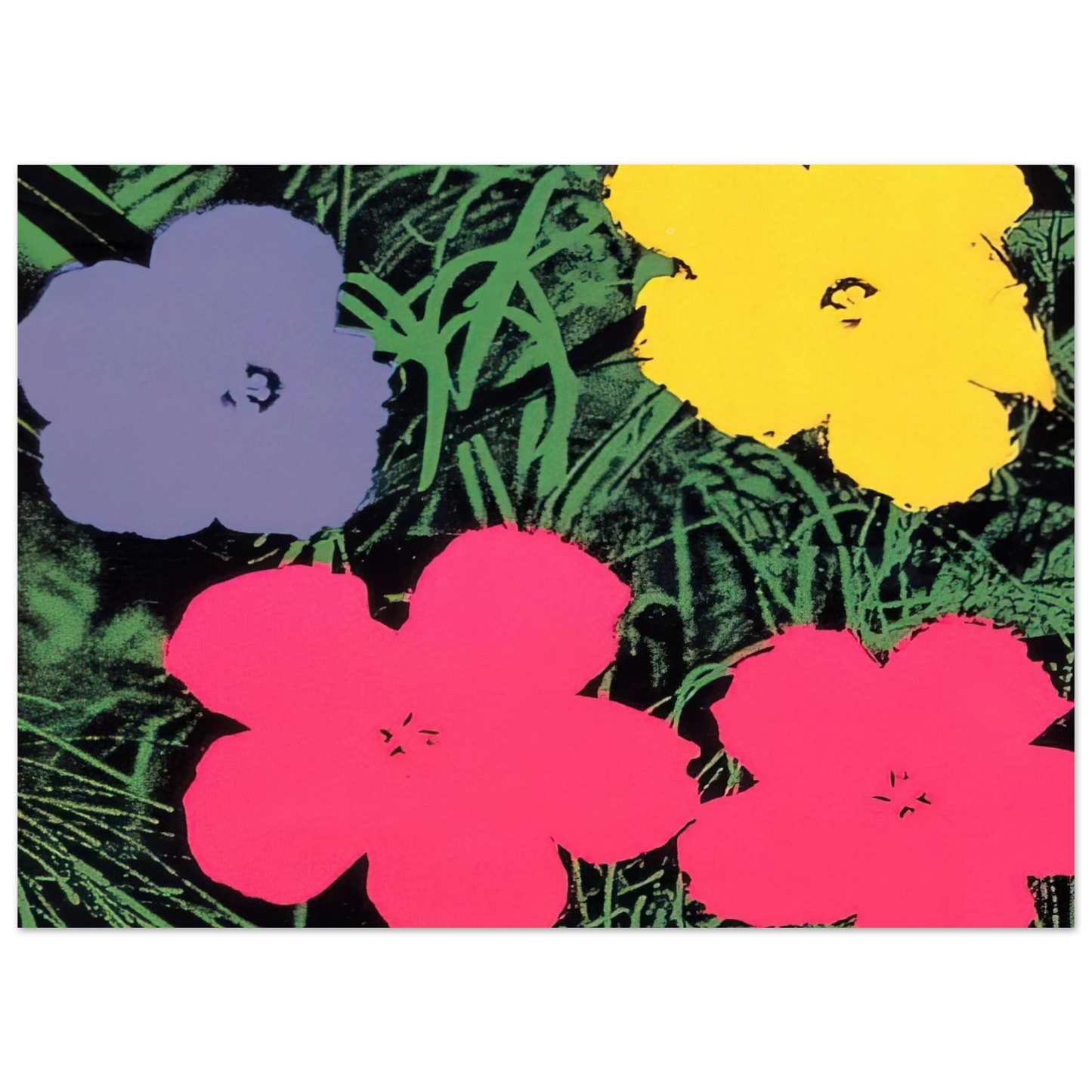 Andy Warhol - Flowers Fine Art Poster