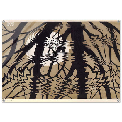 RIPPLED SURFACE COLOUR - MC Escher Acrylic Print - 70x100 cm / 28x40″ inches | Maurits Cornelis Escher Prints