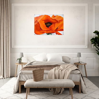 Red Poppy - Georgia O'Keeffe Acrylic Print - 70x100 cm / 28x40″ inches