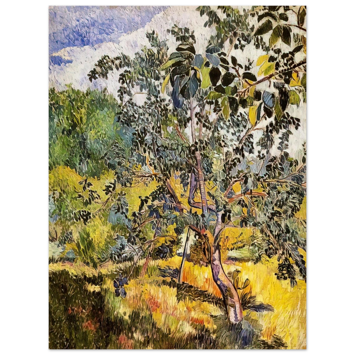 Natalia Goncharova - Corner of a garden Sun - Post-Impressionism  75x100 cm / 30x40inches Fine Art Poster
