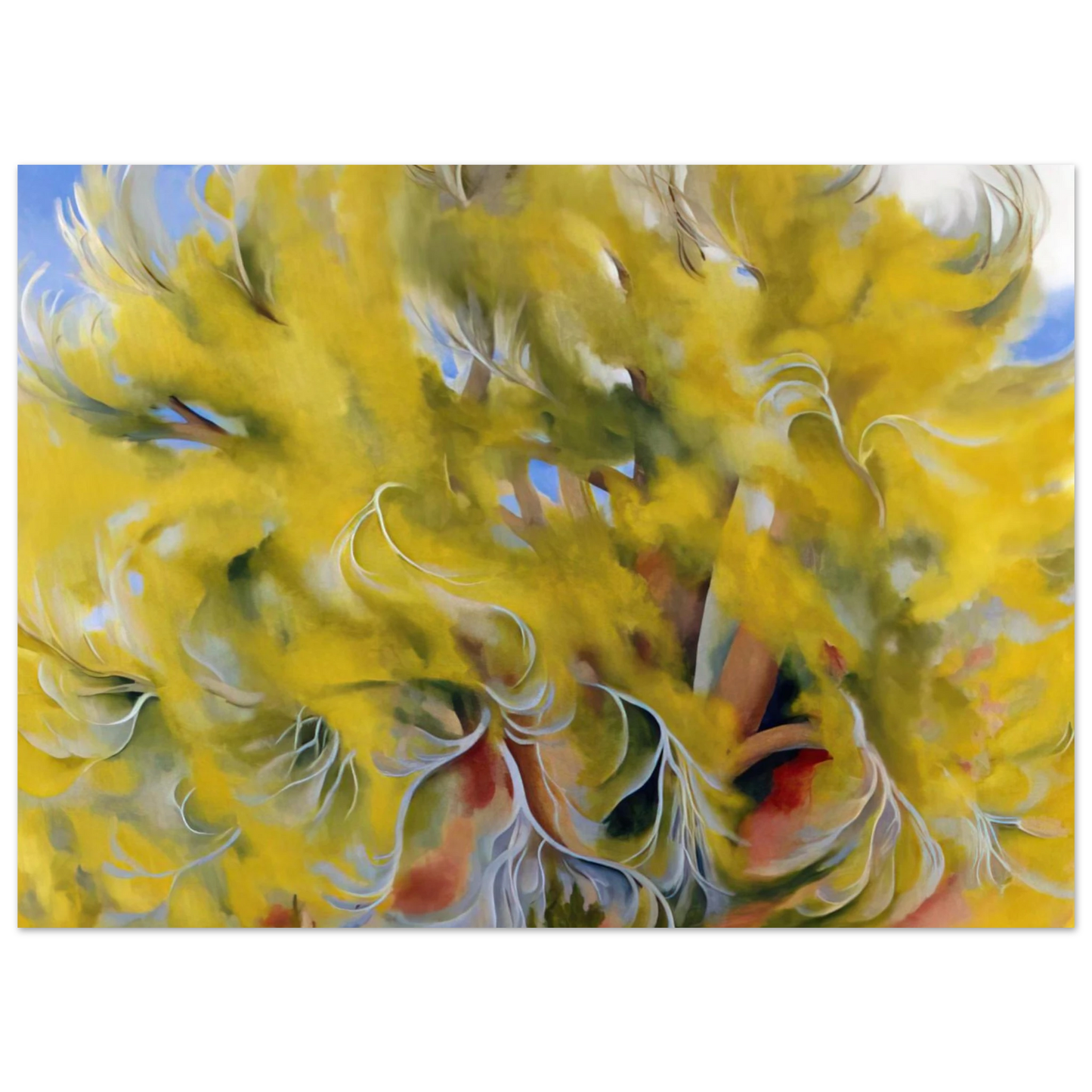 Georgia O'Keeffe - Cottonwood Tree in Spring Fine Art Poster