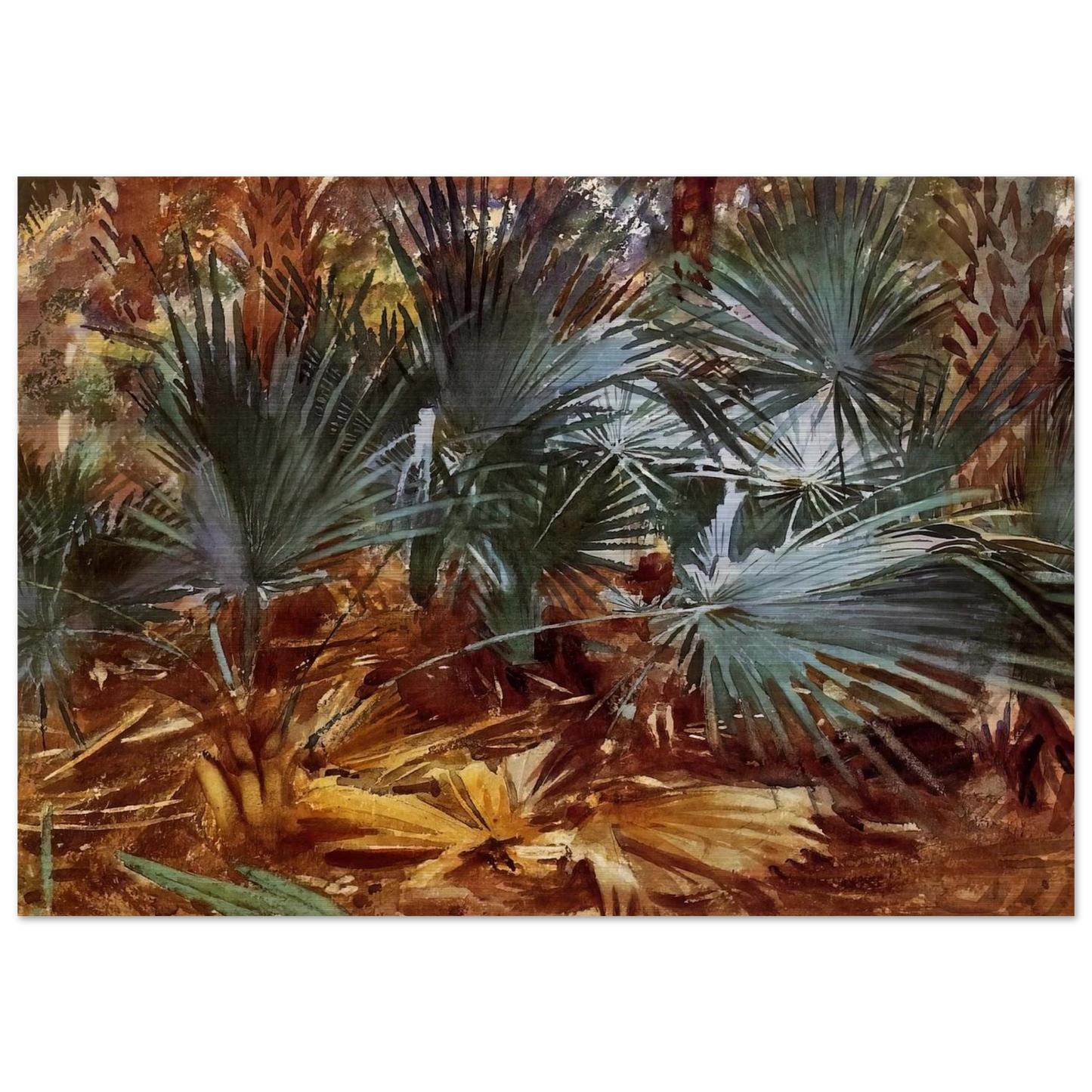 Palmettos - John Singer Sargent Brushed Aluminum Print - 70x100 cm / 28x40 inches | John Singer Sargent Aluminum Print | John Singer Sargent Prints