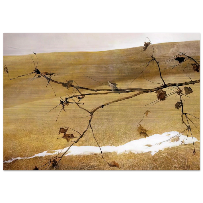 LONG LIMB - Andrew Wyeth Brushed Aluminum Print - 70x100 cm / 28x40 inches | Andrew Wyeth Aluminum Print | Andrew Wyeth Prints