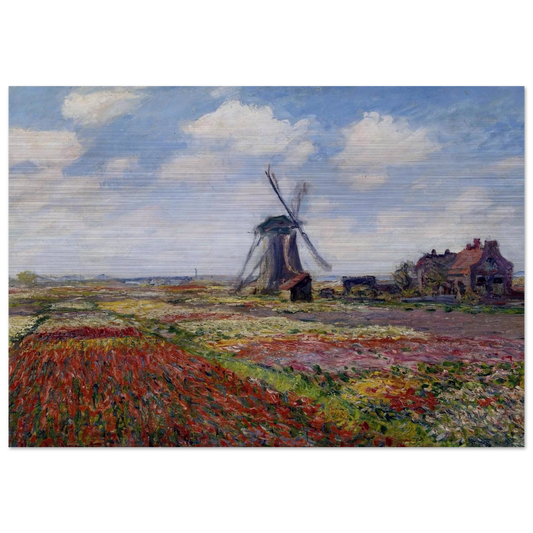 Fields of Tulip With The Rijnsburg Windmill - claude monet Brushed Aluminum Print - 70x100 cm / 28x40 inches | claude monet Aluminum Print | claude monet Prints