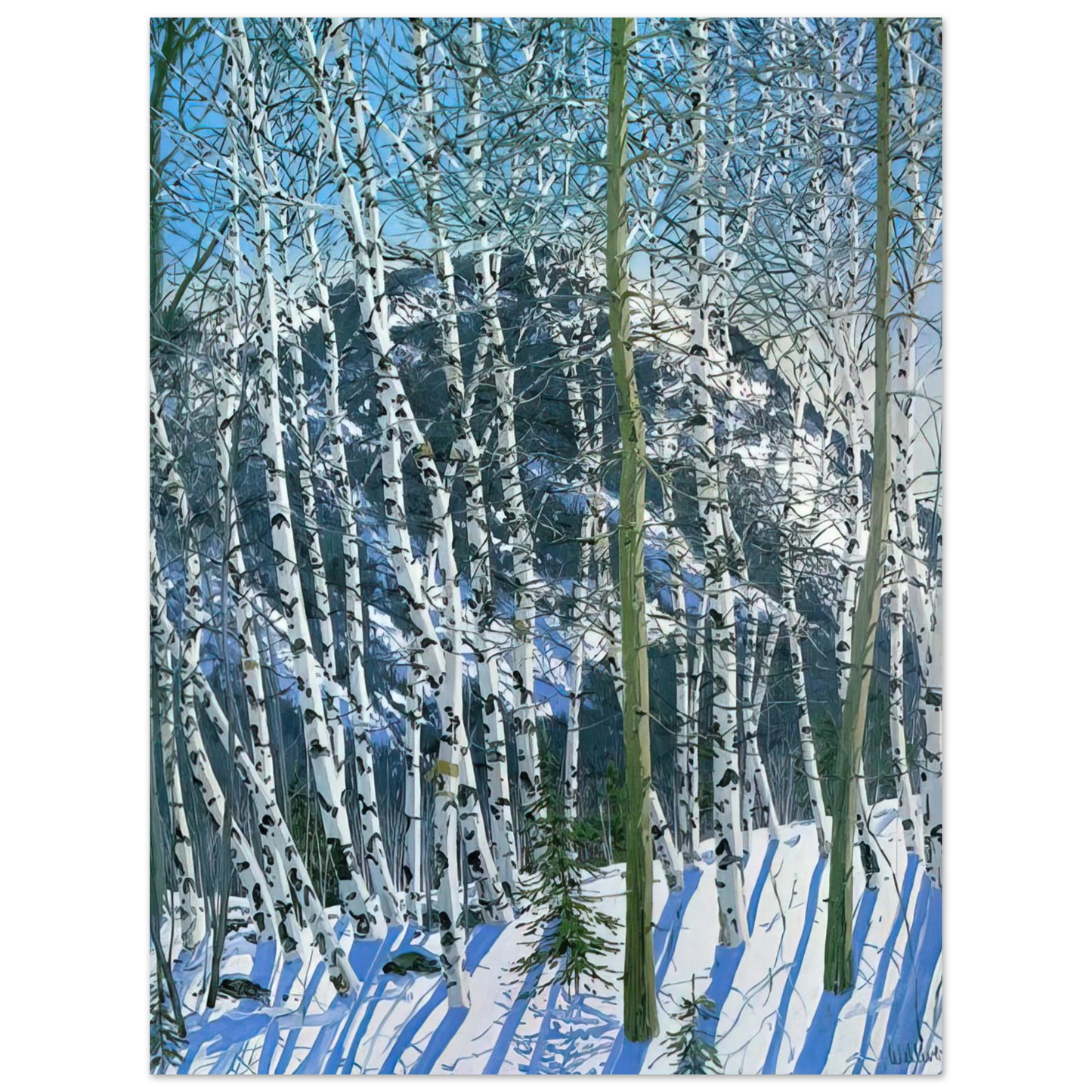 Neil Welliver - Birches - 2005  75x100 cm / 30x40inches Fine Art Poster
