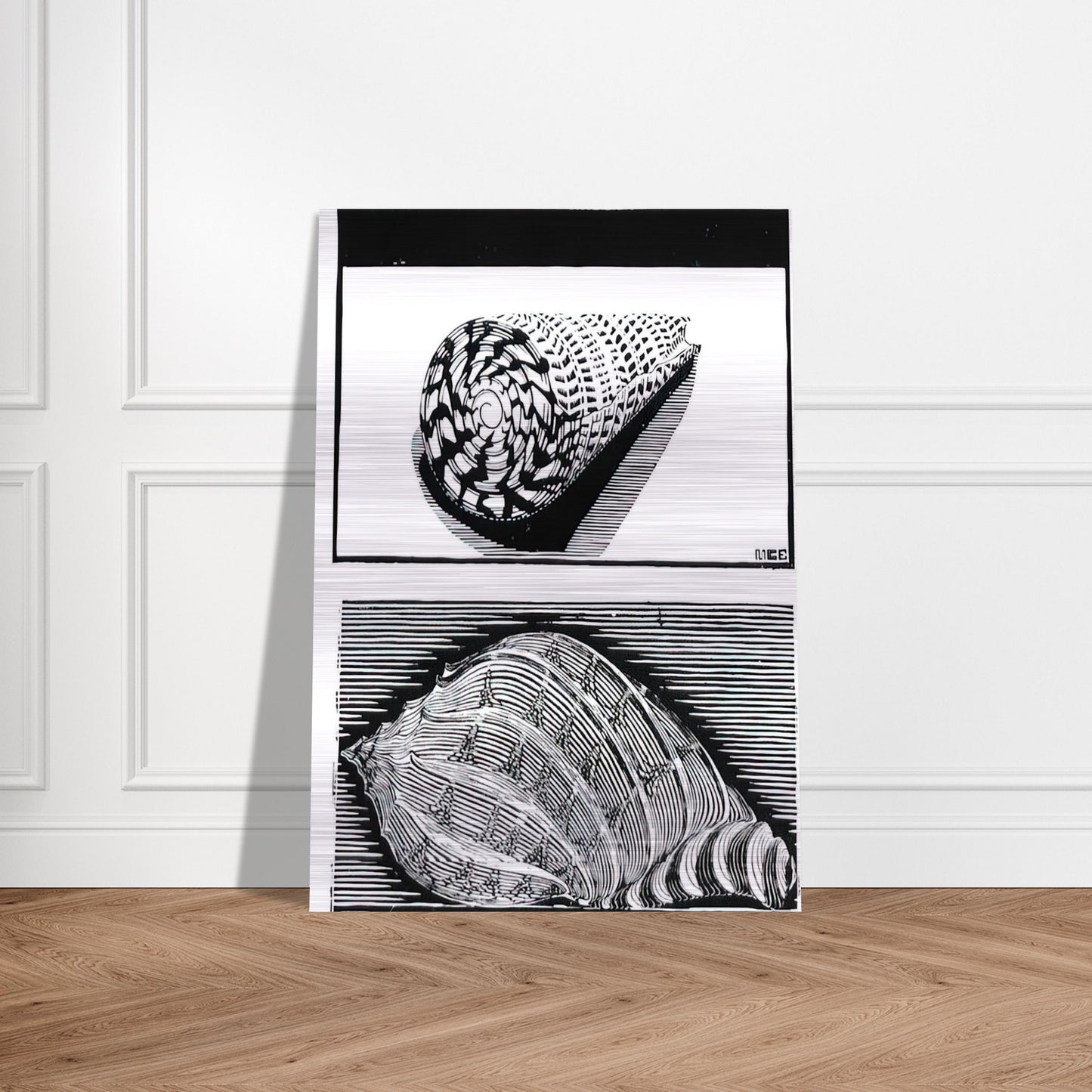 SEA SHELLS - MC Escher Brushed Aluminum Print - 70x100 cm / 28x40 inches | MC Escher Aluminum Print | MC Escher Prints