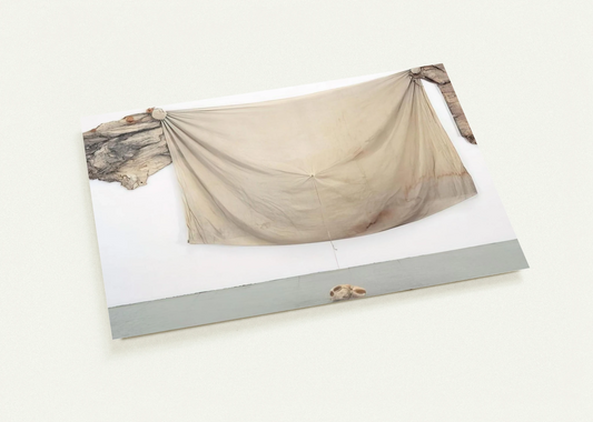 FRANCISCAN II 1972 By Robert Rauschenberg Pack of 10 Post Cards | Robert Rauschenberg Post Cards | A6 (10.5 x 14.8 cm) - 4.1 x 5.8 inches