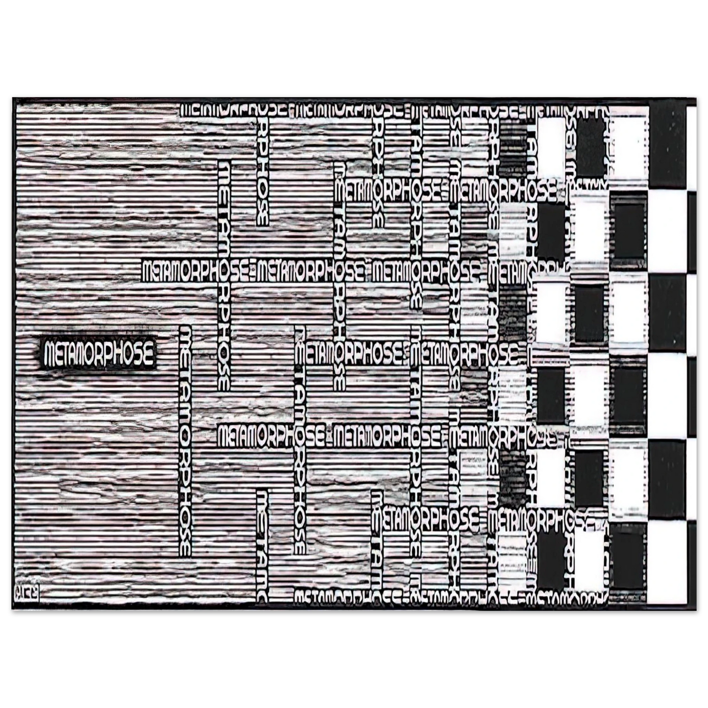MC Escher - METAMORPHOSIS II EXCERPT 1 Wall Art - 21x29.7 cm / 8x12" - Fine Art Poster - -