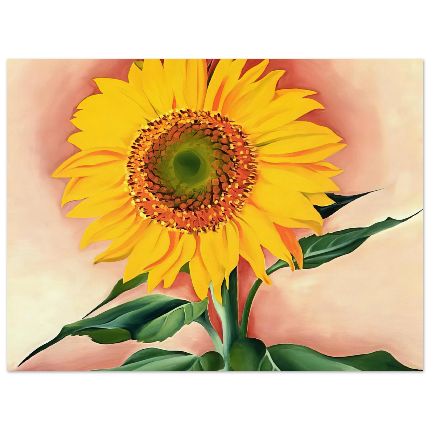 Georgia O'Keeffe - A Sunflower from Maggie Fine Art Poster