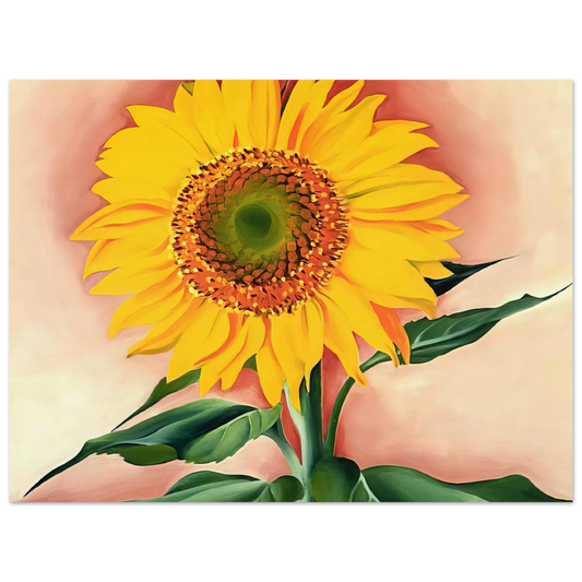 Georgia O'Keeffe - A Sunflower from Maggie Fine Art Poster