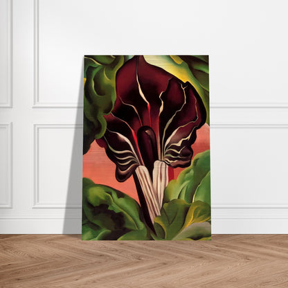 Jack-in-the-Pulpit II - Georgia O'Keeffe Brushed Aluminum Print - 70x100 cm / 28x40 inches | Georgia O'Keeffe Aluminum Print | Georgia O'Keeffe Prints