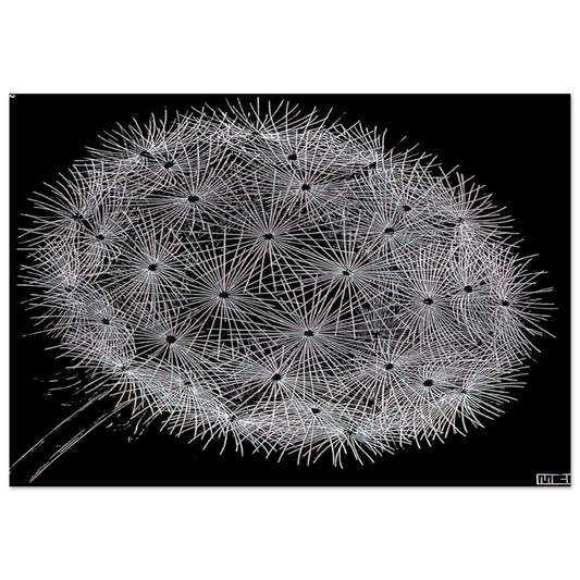 BLOWBALL II - MC Escher Brushed Aluminum Print - 70x100 cm / 28x40 inches | MC Escher Aluminum Print | MC Escher Prints | Maurits Cornelis Escher Prints